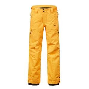 Dětské lyžařské kalhoty Picture Time Žlutá 8