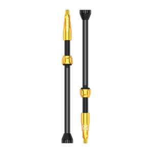 Lezyne CNC TLR VALVE  černá/zlatá