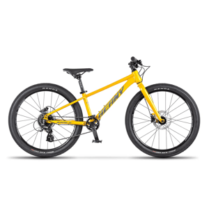 Beany Blaster XC 20 2024 10" zlatá