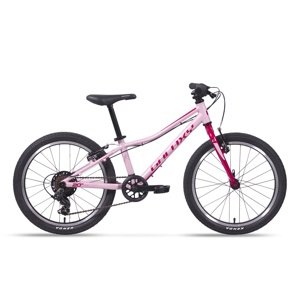 Dětské kolo Galaxy Cetis 20" - model 2025 10" (113-135 cm) růžová