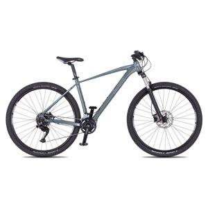 Horské kolo 4EVER FRONTBEE 29'' - model 2025  foggy/silver  XL (21", 185-202 cm)