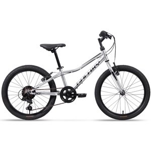Dětské kolo Galaxy Neptun 20" - model 2025  stříbrná  10" (113-135 cm)