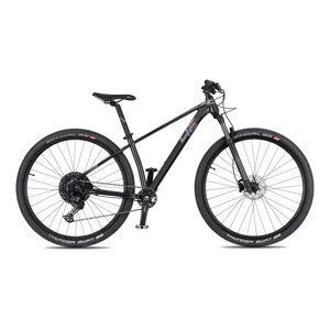 Horské kolo 4EVER Dark Team 29" - model 2025 S (15,5", 150-165 cm) chameleon/hologram