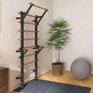 Žebřiny inSPORTline Wootamax 220x80 cm s hrazdou a bradly