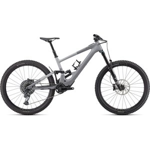 Specialized Kenevo SL Expert Carbon 29 - cool grey/carbon/dove grey S4