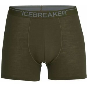 Icebreaker M Anatomica Boxers - loden XL