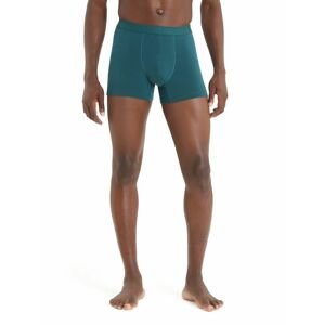 ICEBREAKER Mens Anatomica Cool-Lite™ Boxers, Green Glory velikost: XL